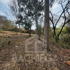 Terreno - Bosque dos Pinheiros